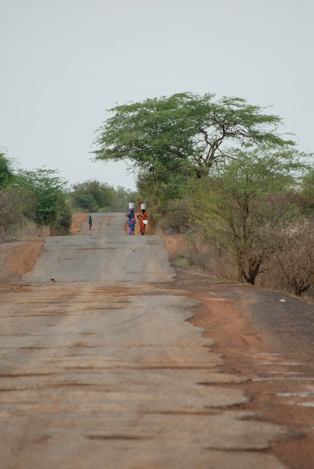 People walk on a rural road carrying things.