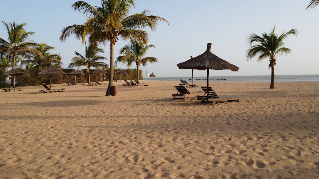 Empty beach with palm trees and thatched umbrellas.