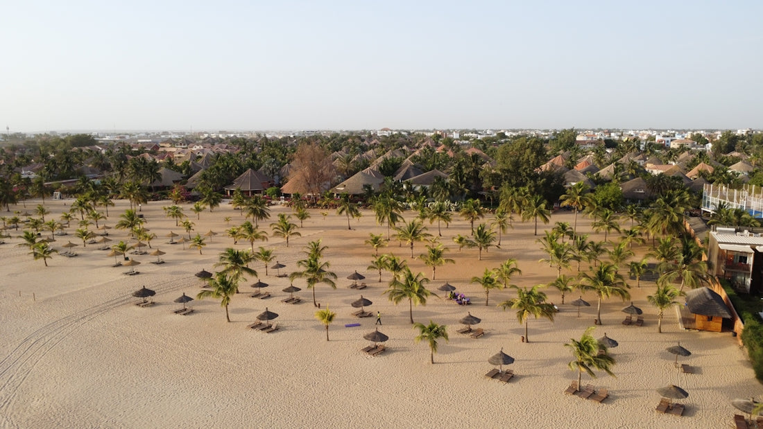Beach with palm trees and small huts.