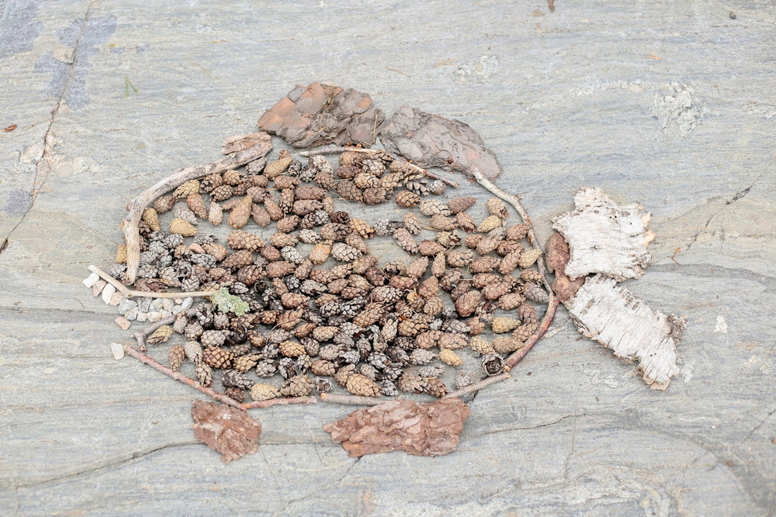 Fish made of natural materials on a stone surface.
