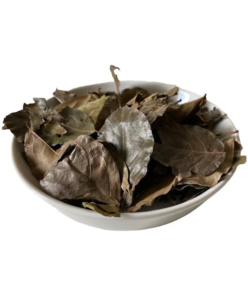 Feuilles de Kinkeliba - Teranga Prestige