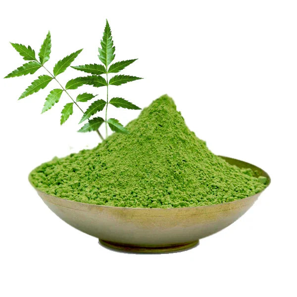 Poudre de Neem 100 % naturelle – Infusion & soins visage/cheveux